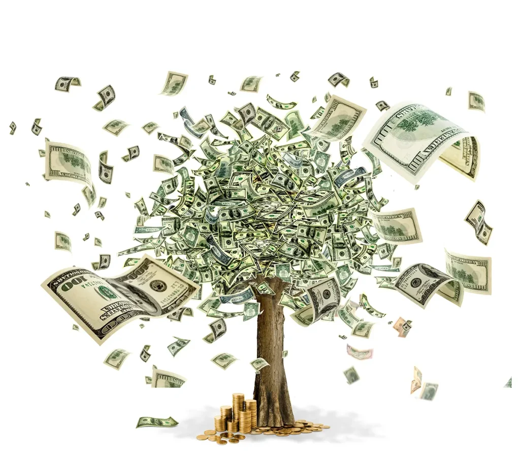 Money Doesn't Grow On Trees
